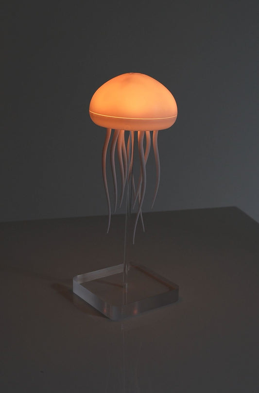 Cosmic Jelly Lamp